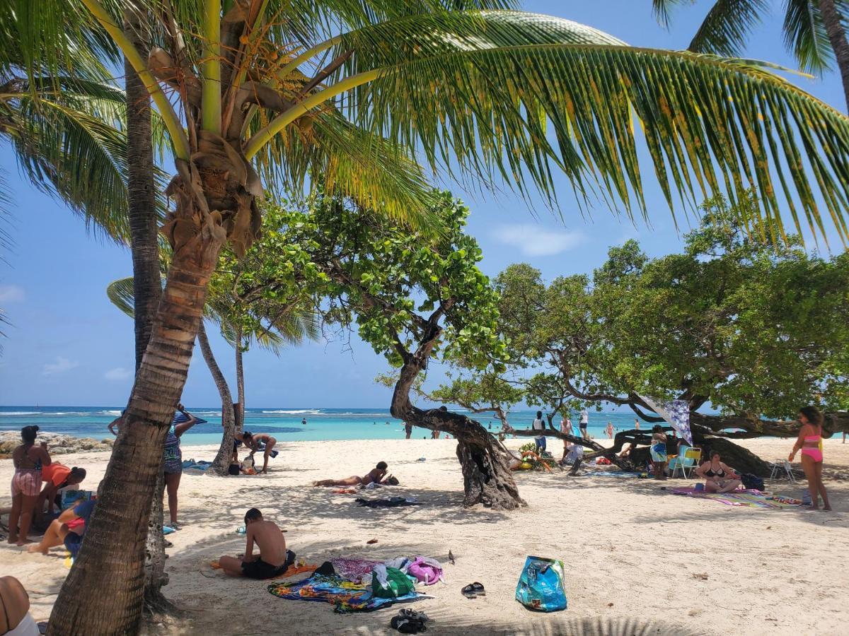 Villa L'Anjou Creole A Sainte Anne En Guadeloupe Avec Piscine Privee Et 2 Chambres Pour 4 Personnes Экстерьер фото
