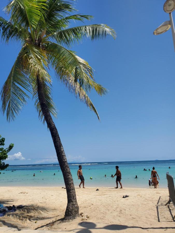 Villa L'Anjou Creole A Sainte Anne En Guadeloupe Avec Piscine Privee Et 2 Chambres Pour 4 Personnes Экстерьер фото
