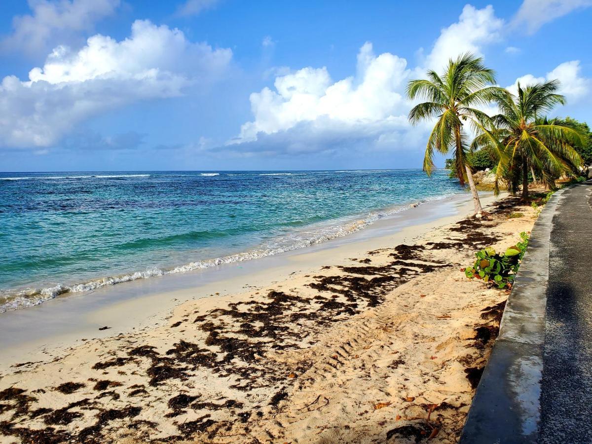 Villa L'Anjou Creole A Sainte Anne En Guadeloupe Avec Piscine Privee Et 2 Chambres Pour 4 Personnes Экстерьер фото
