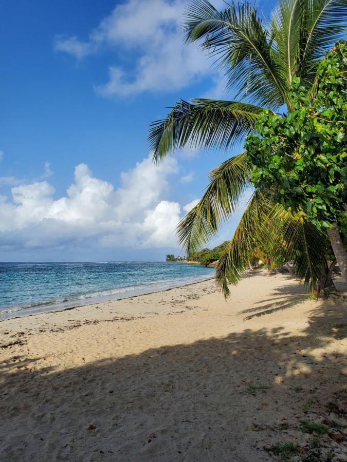 Villa L'Anjou Creole A Sainte Anne En Guadeloupe Avec Piscine Privee Et 2 Chambres Pour 4 Personnes Экстерьер фото