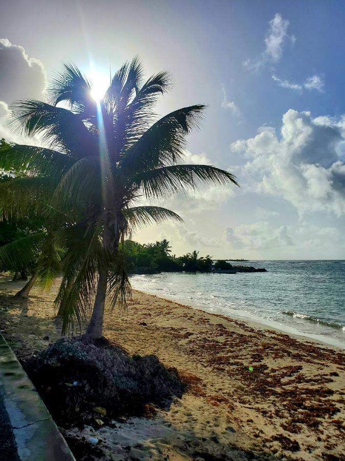 Villa L'Anjou Creole A Sainte Anne En Guadeloupe Avec Piscine Privee Et 2 Chambres Pour 4 Personnes Экстерьер фото