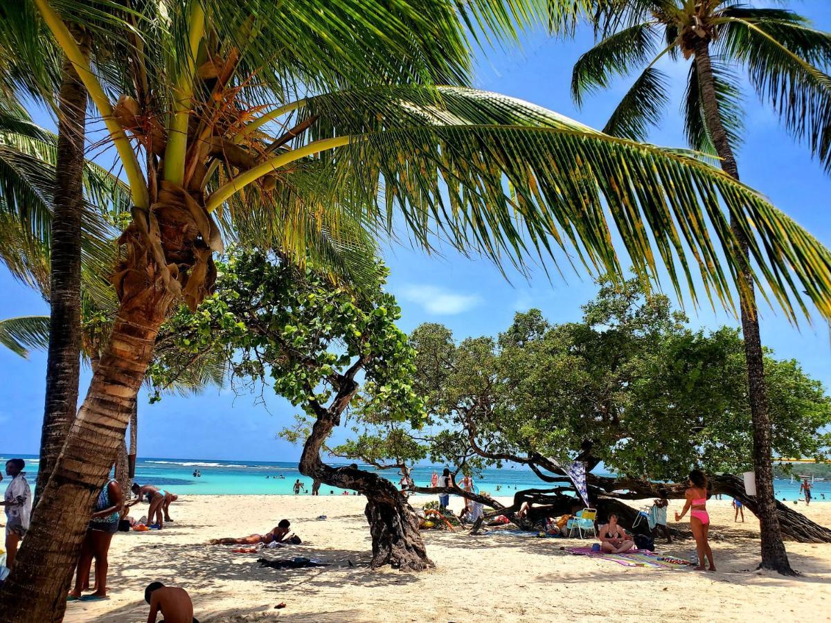 Villa L'Anjou Creole A Sainte Anne En Guadeloupe Avec Piscine Privee Et 2 Chambres Pour 4 Personnes Экстерьер фото