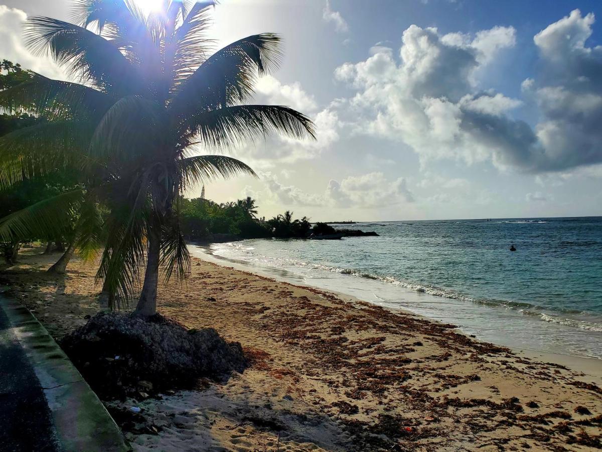Villa L'Anjou Creole A Sainte Anne En Guadeloupe Avec Piscine Privee Et 2 Chambres Pour 4 Personnes Экстерьер фото